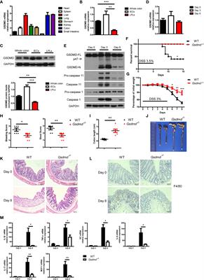 Dysregulated Microbiota-Driven Gasdermin D Activation Promotes Colitis Development by Mediating IL-18 Release